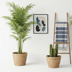 simarro 3 Pack Seagrass Planter Basket, 3 Sizes Stylish Plant Containers Flower Pots with Plastic Lining Woven Baskets for Plants Indoor and Outdoor