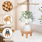ARTORA Small Wooden Riser, Decorative Round Wood Desktop Plant Stand Mid Century Kitchen Counter Pedestal Stand for Centerpiece Pet Bowl Holder (Natural, 2 Pack)