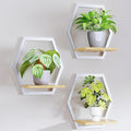 Modern White Hexagon Wall Planters with Solid Wood Shelves Set of 3 Geometric Floating Wall Decor for Indoor Plants, Stylish Wall Mounted Display for Succulents & Small Plants