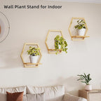Modern Golden Hexagon Wall Planters with Solid Wood Shelves Set of 3 Geometric Floating Wall Decor for Indoor Plants, Stylish Wall Mounted Display for Succulents & Small Plants
