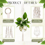 12 Pcs Plastic Plant Propagation with Boho Macrame Hanger Wall Plant Propagation Station Hanging Holder Include Hooks Kit for Indoor Home Garden Office Decor 3 Size (White)
