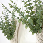 Macrame Wall Hanging with Artificial Eucalyptus Plant, Boho Wall Decor, Green Gray, Set of 2