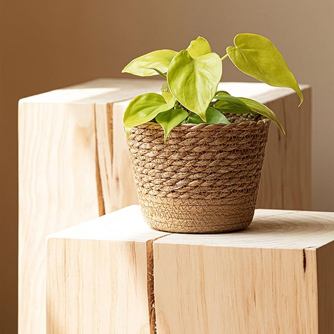 Straw Weaving Plant Basket, Large Basket for Plants Indoor with Plastic Liner, Woven Flower Planters for Water Hyacinth, Garden Home Boho Plant Pots Decoration