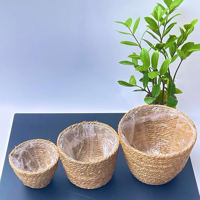 Woven Seagrass Plant Basket Without Handles | Decorative Planter for Small-Space Living or Natural Home Styling | Perfect for Living Room, Balcony, Patio, Kitchen or Gadren (Set of 3)
