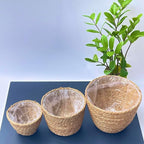 Woven Seagrass Plant Basket Without Handles | Decorative Planter for Small-Space Living or Natural Home Styling | Perfect for Living Room, Balcony, Patio, Kitchen or Gadren (Set of 3)