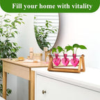 XXXFLOWER Plant Terrarium Propagation Stations Unique Gifts for Women Wife Mom Plant Lovers 3 Heart Shaped Vases for Hydroponics Home Garden Office Decor(Plants NOT Included)