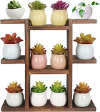Wood Desktop Plant Stand Indoor Small Windowsill Flower Shelf Tabletop Plant Shelf Holder Display Rack for Succulent Herb in Living Room Office 9 Tiers