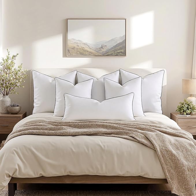 MIULEE Goose Feather Down 28x28 Euro Pillow Insert Set of 2 with 100% Down-Proof Cotton Cover, Soft Fluffy Decorative Pillow for Sofa Bed Couch Living Room White