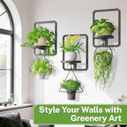 iDavosic.ly Wall Plant Picture Frame Holder Set of 3 for Indoor, Metal Stand with Hanging Hooks, Floating Flower Display Decor, Space Saving & Easy to Assemble (Pots/Chains/Plants Not Included)