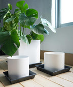 Square Plant Saucer 20 Inch 2 Pack 16 18 20 Extra Large Plant Trays for Pots Heavy Duty Plastic Plant Saucers for Indoors Outdoors, Flower Pot No Holes Plant Drip Trays