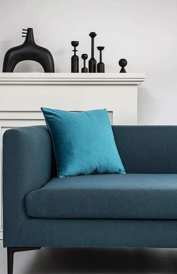Throw Pillow Covers 16x16 Turquoise: Pack of 2 Cozy Soft Velvet Square Modern Luxury Decorative Throw Pillow Cases for Sofa Couch Living Room Bed Home Decor