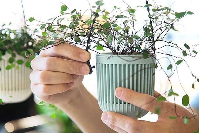Melphoe 3.5‘’ Two-Piece Succulent Planters Pots with Drainage, Flexible Removable Handle, Flower Pots for Mini Plants Small Hanging Planter for Wall, Window (6 PCAK)