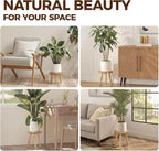 Bamworld Plant Stands Indoor 3 Pack Single Plant Stand for Multiple Plants Corner Plant Stool Wooden Plant Stands for Patio Garden Balcony Living Room Bedroom(Nature)