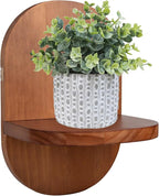 ARTORA Wall Mounted Plant Holder, Wooden Flower Pot Wall Hanging Shelf Black Indoor Outdoor Decorative Floating Shelves Planter Hanger Racks for Wall Bedroom Living Room Porch Balcony Decor (1 Pack)