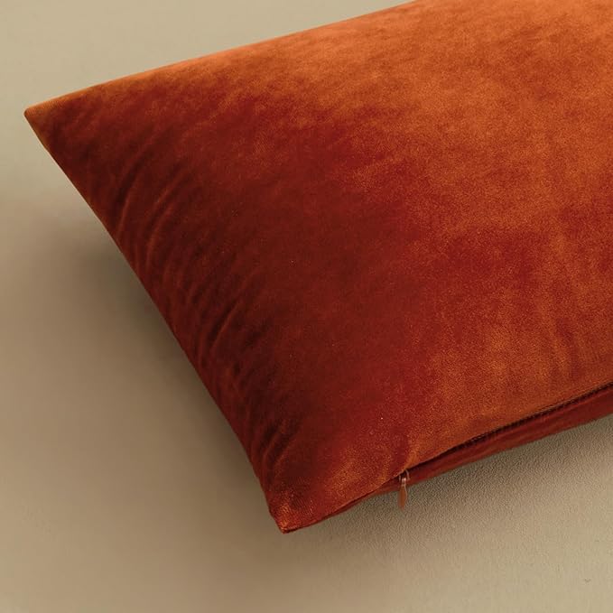 MIULEE Burnt Orange Pillow Covers 18x18 Inch Soft Velvet Throw Pillow Covers Decorative Square Pillowcases Modern Home Decor for Sofa Bedroom Couch