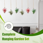 6 Pack Hanging Air Plant Holders - Adjustable Rust-Resistant Iron Rings with Low-Tangle Jute Ropes for Tillandsia, Succulents, Home & Office Decor