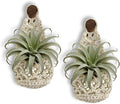 Macrame Plant Hanger Set of 2, Boho Wall Hanging Planter for Up to 4 Inch Pots - Handwoven Cotton Rope Wall Decor with S-Hooks for Indoor Plants in Living Room, Bedroom & Office