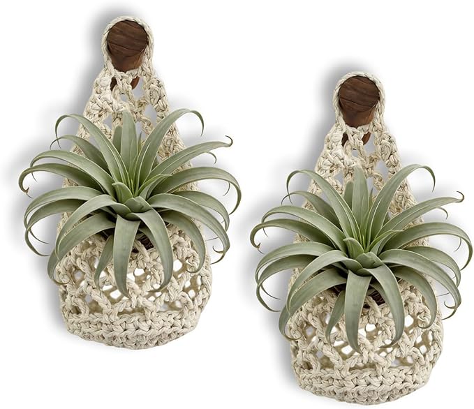 Macrame Plant Hanger Set of 2, Boho Wall Hanging Planter for Up to 4 Inch Pots - Handwoven Cotton Rope Wall Decor with S-Hooks for Indoor Plants in Living Room, Bedroom & Office