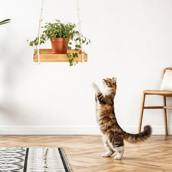 Novabright 1 Pcs Window Hanging Plant Shelf with Macrame Adjustable Rope, 16" Large Wooden Plant Hanger Indoor with Metal Frame, Load 50lb, Suit for Window Ceiling Wall Mount Boho Decor