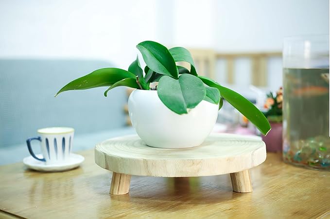 CYS EXCEL 2 Pcs Wooden Plant Stands Modern Raised Display Risers for Indoor Planters Round Natural Wood Slice Pedestals with Short Legs for Tabletop Decor Rustic Boho Home Accent, 13 Inch Diameter