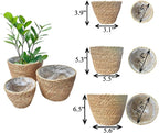 Woven Seagrass Plant Basket Without Handles | Decorative Planter for Small-Space Living or Natural Home Styling | Perfect for Living Room, Balcony, Patio, Kitchen or Gadren (Set of 3)