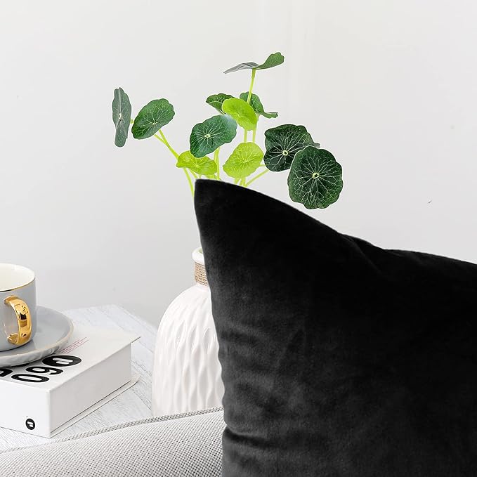 NiNi ALL Decorative Throw Pillow Covers Pack of 2, Velvet Throw Pillow Cases for Couch Pillows Cover Bedroom Living Room Outdoor, Pillow Covers 28x28 Inch Black