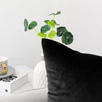 NiNi ALL Decorative Throw Pillow Covers Pack of 2, Velvet Throw Pillow Cases for Couch Pillows Cover Bedroom Living Room Outdoor, Pillow Covers 28x28 Inch Black