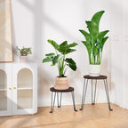 Yangbaga Wooden Plant Stands Indoor: 2Pack 11.81IN Round Planter Stands with Metal Legs,Mid Century Planter Holder for Home Decor,Multi-purpose Plant Table for Living Room/Patio/Garden/Balcony/Office