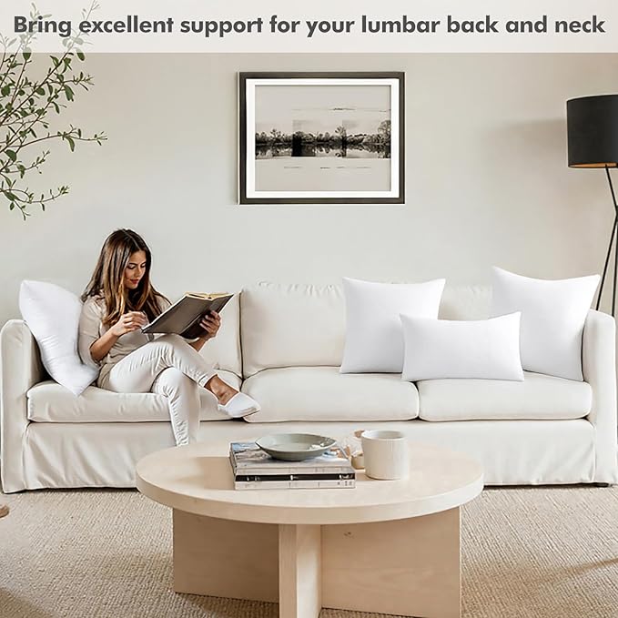 MIULEE 28x28 Inch Throw Pillow Insert Premium Throw Pillow Polyester Microfiber Stuffer Pillow for Sofa Bed Couch
