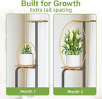 iDavosic.ly Tall Plant Stand Indoor, 4 Tier Corner Multiple Flower Holder Shelf with Wooden Trays, Space Saving Display Rack for Living Room Balcony Patio Porch Outdoor | Black & Brown