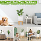 Wood Plant Stand Indoor/Outdoor for Plants, Large Size Planter Stand Holder,Sturdy and Stable Flower Pot Stand,Fits Most Size Flower Pots In Room (1 Pack-White)