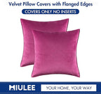MIULEE Hot Pink Velvet Throw Pillow Covers 20x20 Soft Decorative Solid Square Cushion Cases Pack of 2 Modern Luxury Home Decor for Couch, Sofa, Bedroom