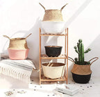 LiloCraft Seagrass Plant Basket (Size: 12x11inches, Pattem:Black Bottom) Home Decor Storage Solution with Eco-Friendly, Woven Basket Planter Indoor with Handles, Round Boho Plant Pot