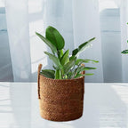 Woven Planter Basket Container Portable Decorative Simple Multipurpose Storage Basket Plant Pot for Living Room Balcony Porch, Medium