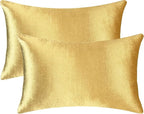 2 Pack 12x20 Pillow Cover Velvet Pillow Covers, Square Throw Pillow Covers for Living Room Decorations Throw Pillow Case, Throw Pillow Cover Cushion Cover for Home Sofa Bedroom Car, Gold