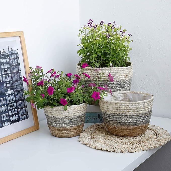 Kisangel 2pcs Flower Basket Woven Planter Plant Pots Indoor Plant Basket Multi-Purpose Woven s for Plant Multi-Purpose s Straw Flower Pot Girl Grass