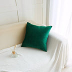 2 Pack Soft Velvet Couch Throw Pillow Covers 20x20 Inch for Sofa Living Room Bedroom (Emerald Green)