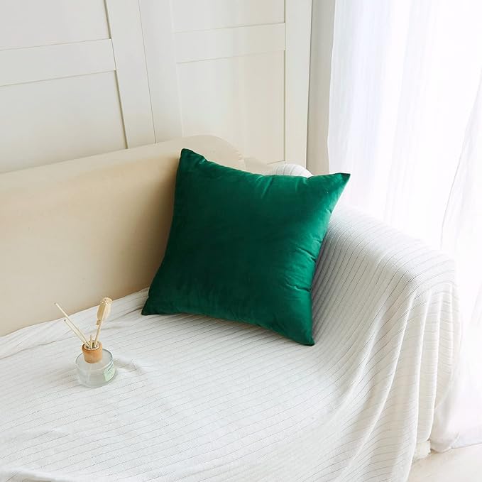2 Pack Soft Velvet Couch Throw Pillow Covers 20x20 Inch for Sofa Living Room Bedroom (Emerald Green)