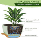 2 Pack 10 Inch Self Watering Hanging Planters for Indoor Plants, Large Green Brown Plastic Hanging Pots with Chains for Outdoor Patio Garden Home Decor (Green Brown)