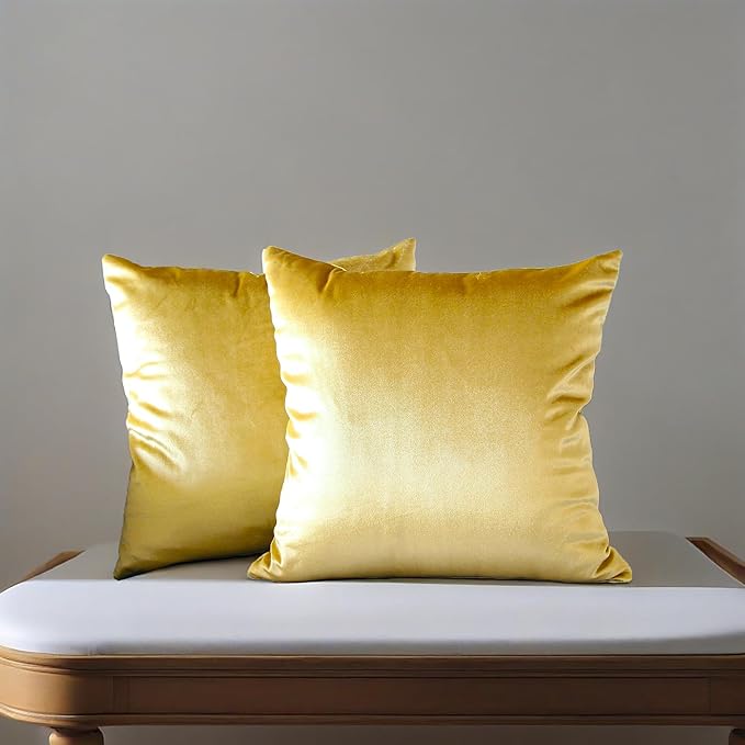2 Pack Soft Velvet Couch Throw Pillow Covers 16x16 Inch for Sofa Living Room Bedroom (Gold)