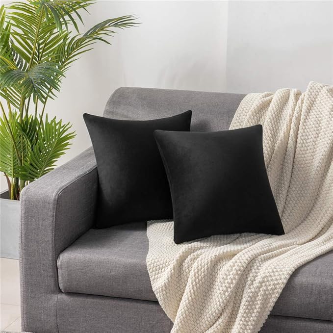 Throw Pillow Covers 20x20 Black: Pack of 2 Cozy Soft Velvet Square Modern Luxury Decorative Throw Pillow Cases for Sofa Couch Living Room Bed Home Decor
