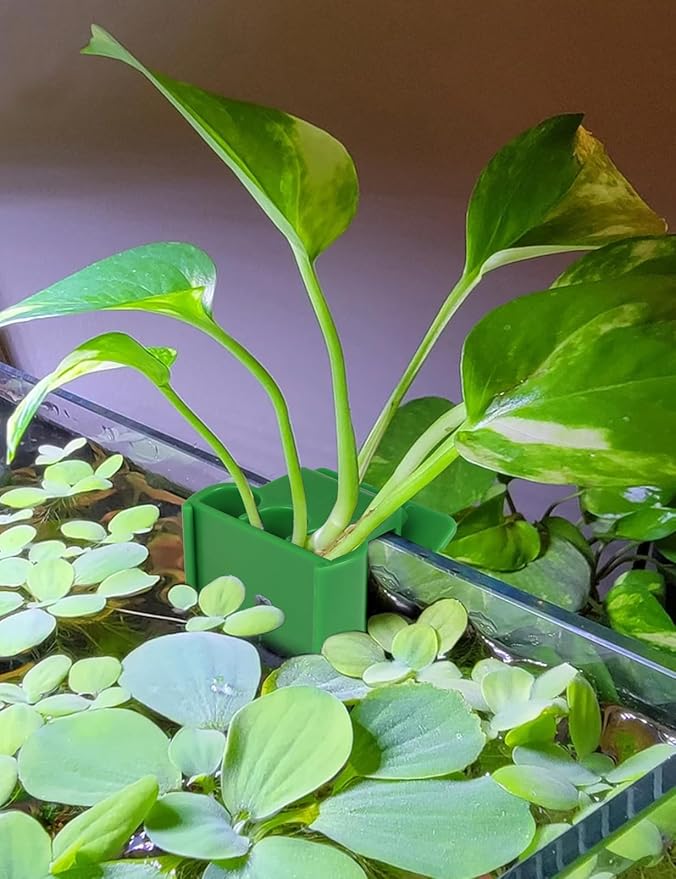 2 Pk Upgraded Aquarium Plant Holder, 3-Hole Hanging Holder with Clip, Suitable for Fish Tank Decoration, Green