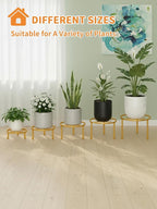5 Pack Plant Stand Indoor Outdoor, Flower Pot Stand Plant Rack for Home Courtyard Gardens, Round Metal Corner Plant Stand for Flower Holder for Multiple Plants