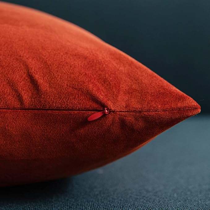 Throw Pillow Covers 22x22 Burnt Orange: Pack of 2 Cozy Soft Velvet Square Modern Luxury Decorative Throw Pillow Cases for Sofa Couch Living Room Bed Home Decor