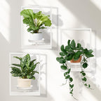 Hanging Planters for Indoor Plants White, Wall Plant Holder Stand to Hold Large Pots - Premium Metal Wall Planters for Indoor Outdoor Decor
