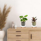 ARTORA Small Wooden Riser, Decorative Round Wood Desktop Plant Stand Mid Century Kitchen Counter Pedestal Stand for Centerpiece Pet Bowl Holder (White, 2 Pack)