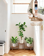 3 Tier Corner Plant Stand Indoor - Adjustable Wood Convex Flower Stand for Small Spaces, Heavy Duty Long Plant Shelf for Living Room Balcony Hallway
