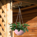 8 Pack 8 Inch Plastic Self Watering Hanging Planters,Colorful Hanging Basket Planter with Drainer and Metal Chain,Garden Flower Plant Pot Container for Indoor Outdoor Plants,8 Colors