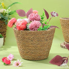 Healifty Woven Plant Baskets with Liner: 2Pcs Round Wicker Seagrass Planter Pots Rattan Straw Baskets Covers for Indoor Outdoor Flower Plants Rustic Home Farmhouse Garden Decor 9.05 X 9.05 X 6.49''