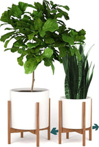 Fox & Fern Adjustable Plant Stand Indoor — 8 to 12 Inch Mid Century Bamboo Plant Stand with Adjustable Width - Plug In Design - Easy to Assemble - Two Heights - For 8, 9, 10, 11 & 12 Inch Pots